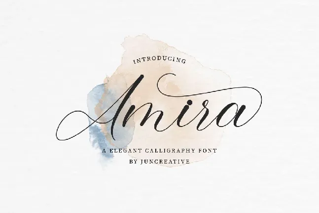 Amira font