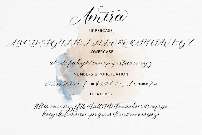 Amira font