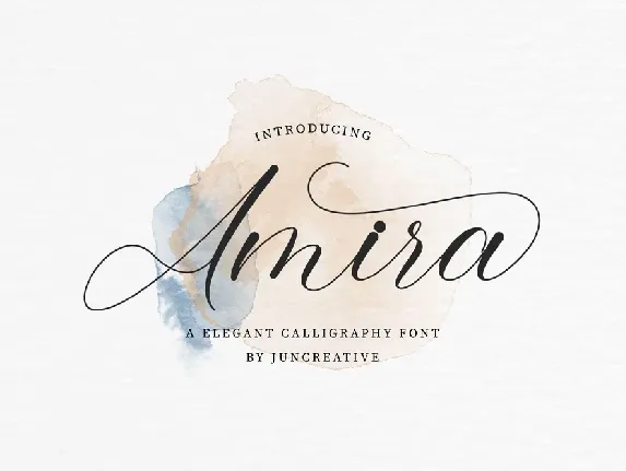 Amira font