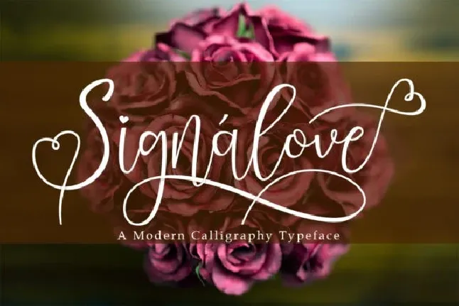 Signalove Calligraphy font