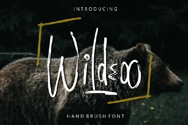 Wildeoo Hand Brush font