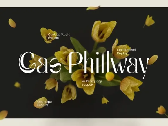 Cas Phillway font