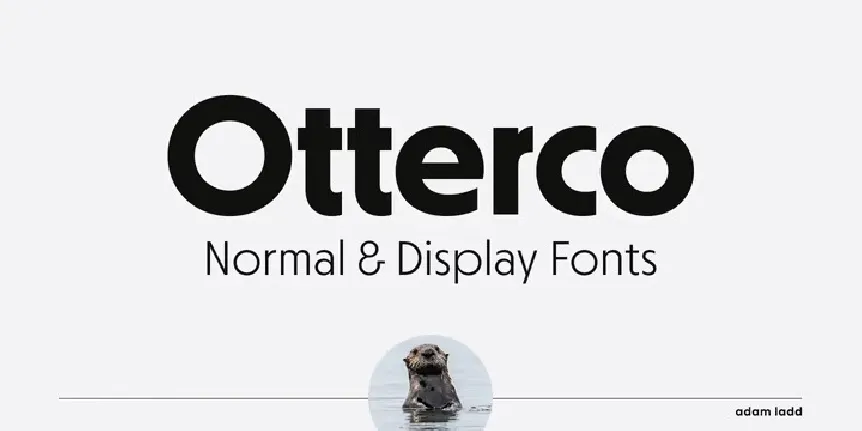 Otterco Family font