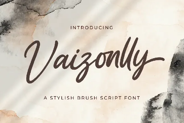 Vaizonlly font