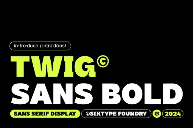 Twig Sans Bold font