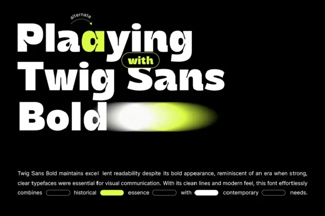 Twig Sans Bold font