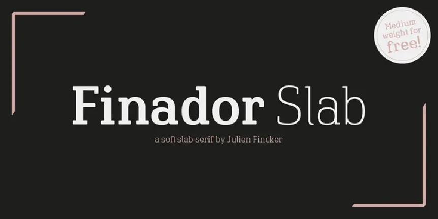 Finador Slab Family font