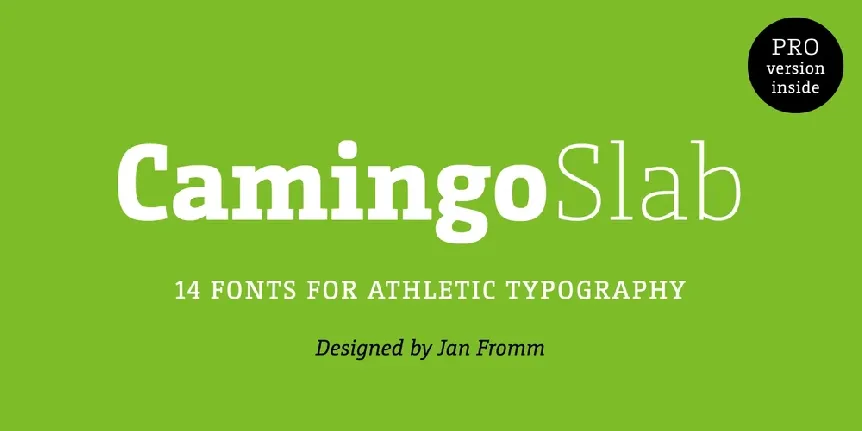 CamingoSlab Family font