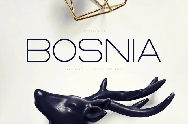 Bosnia – Sans Serif | 2 styles font