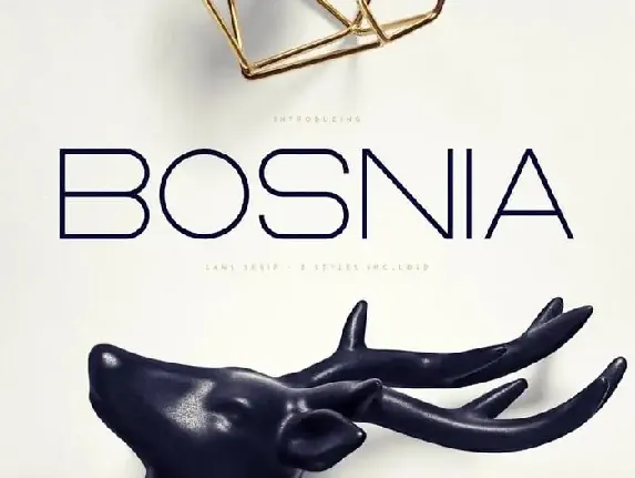 Bosnia – Sans Serif | 2 styles font