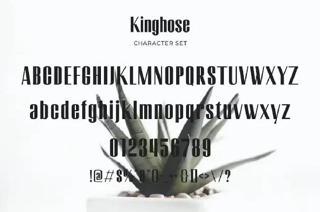 Kinghose font