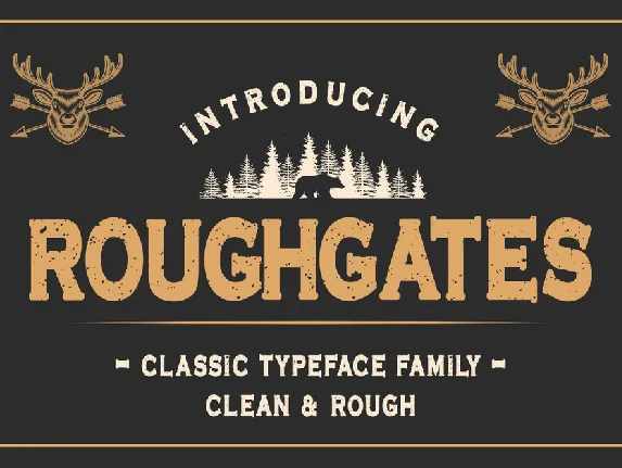 Roughgates Clean font