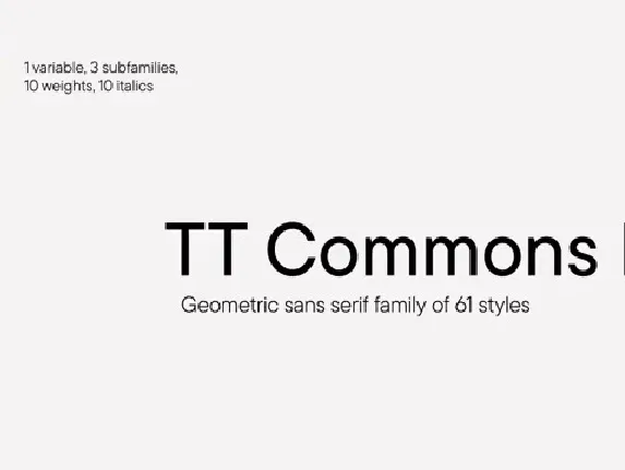 TT Commons Pro Family font