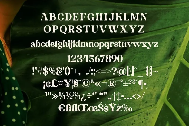 Bagrile font