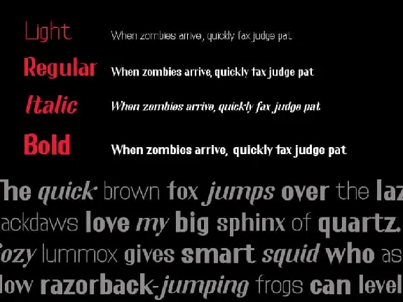 The Honest Sans Serif Family font