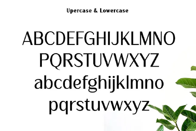 La Bisane font