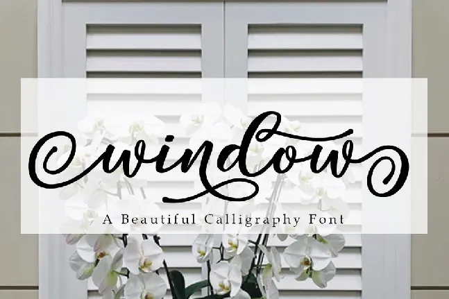 Window font