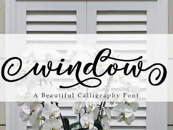 Window font