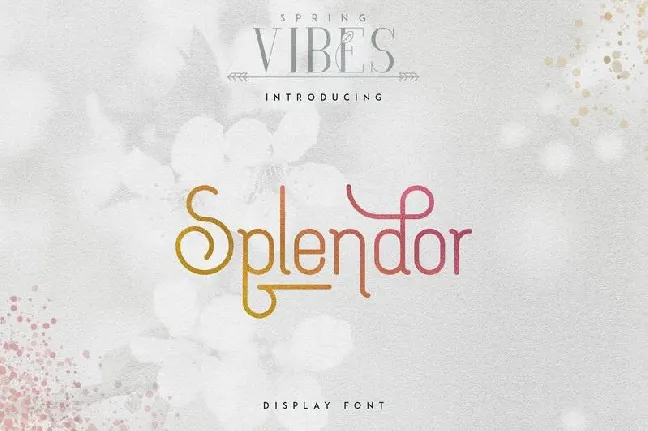 Splendor Display font