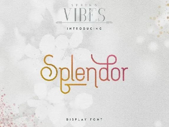 Splendor Display font