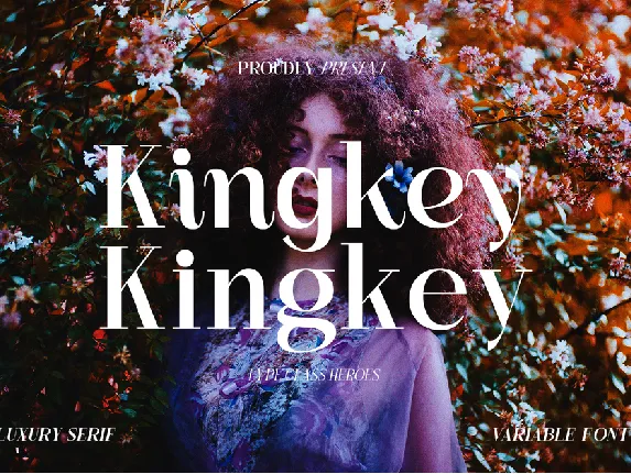 Kingkey Demo font