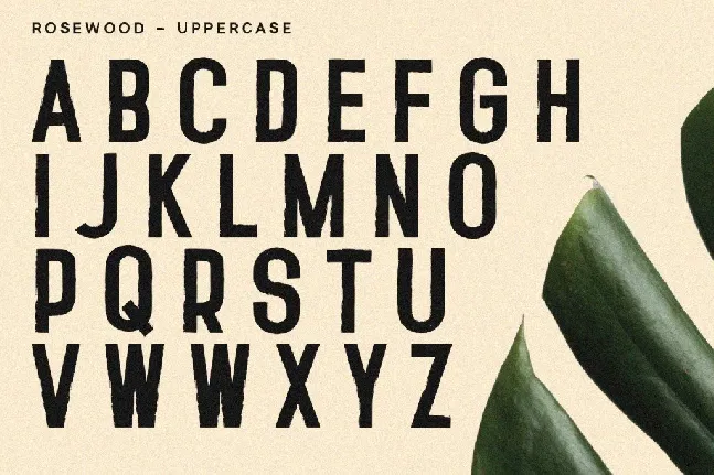 Rosewood Free font