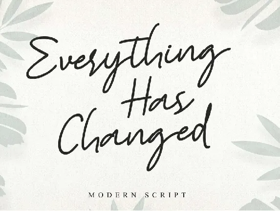 Everything Has Changed font