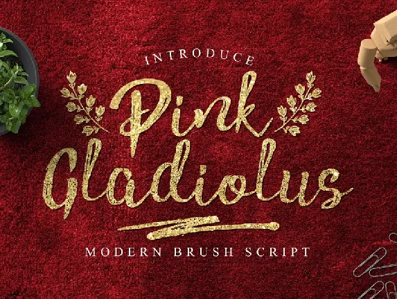 Pink Gladiolus font