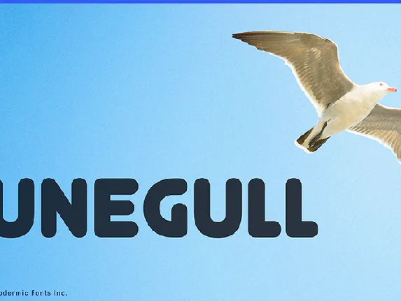 Junegull font