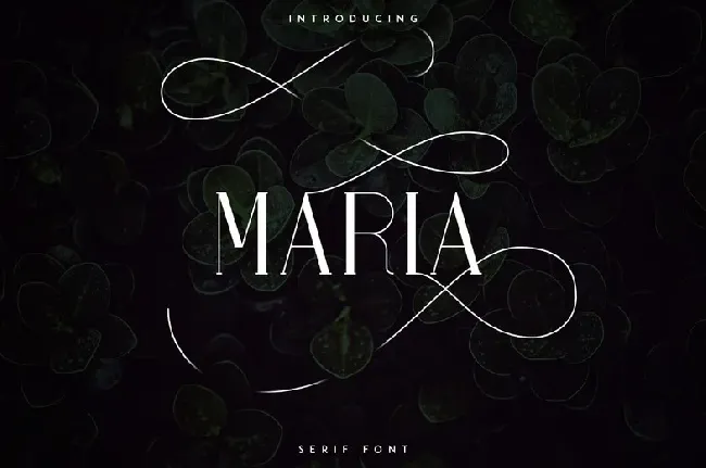 Maria Serif font