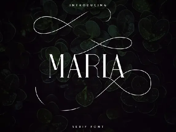 Maria Serif font