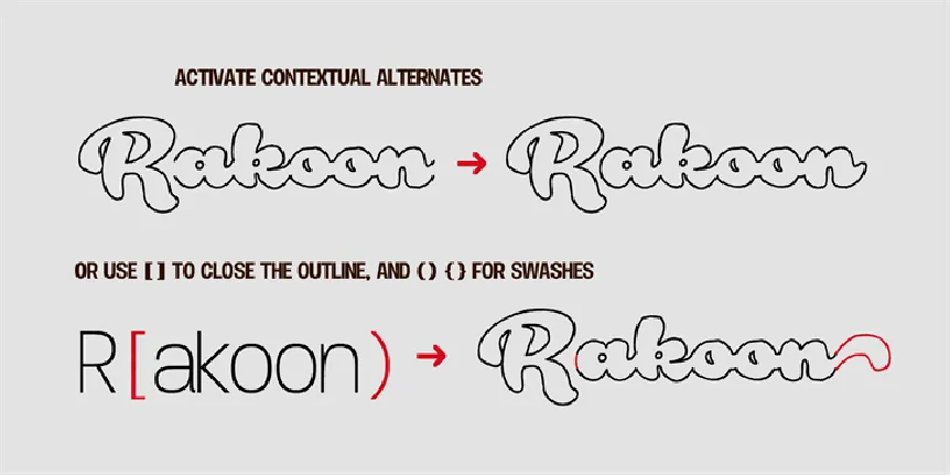 Rough Rakoon font