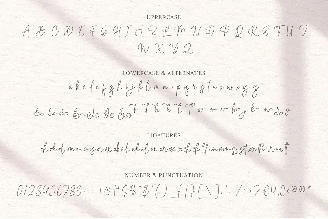 Bella Signature font