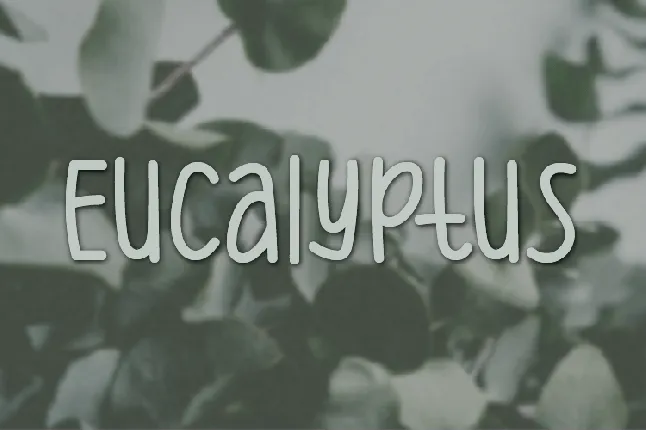 Eucalyptus font