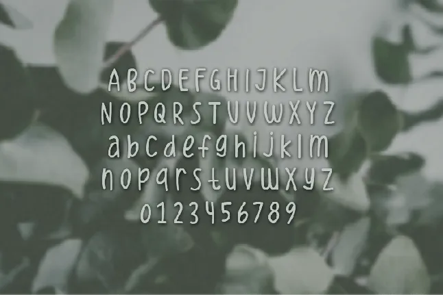 Eucalyptus font