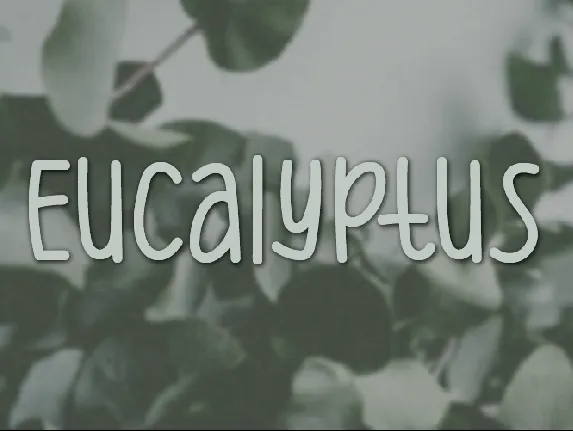 Eucalyptus font