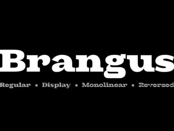 Brangus Sans Serif font