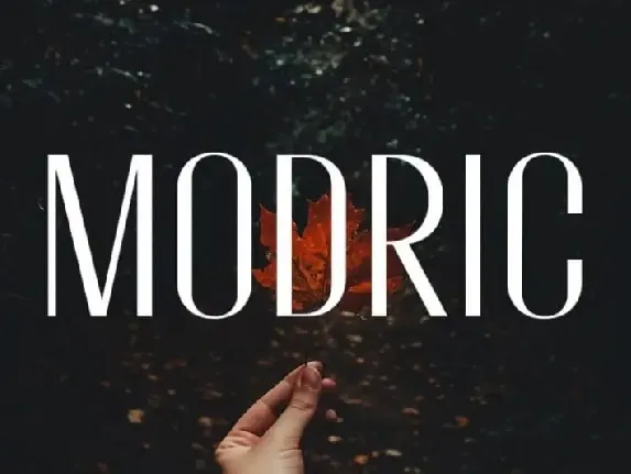 Modric Sans Serif font