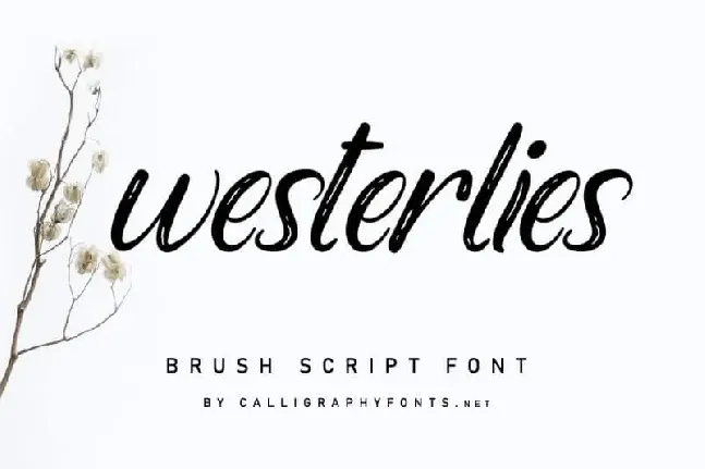 Westerlies Calligraphy Script font