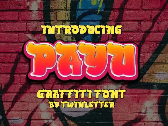 PAYU font