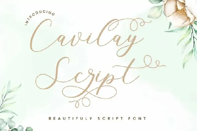 Cavilay Script font