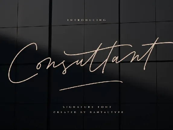 Consultant font