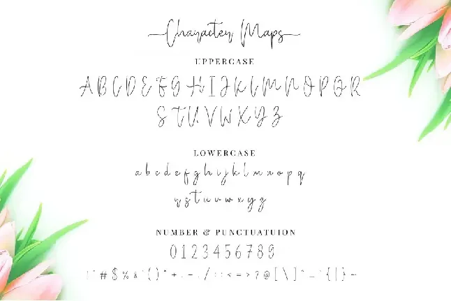 Miya Wayne font