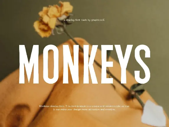 Monkeys font