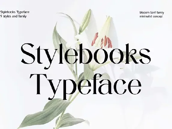 Stylebooks Typeface Family font