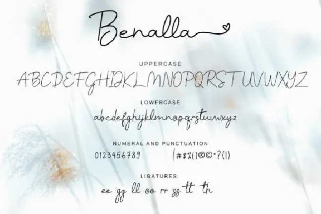 Benalla Signature Script font