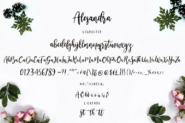 Alesandra Modern Calligraphy font