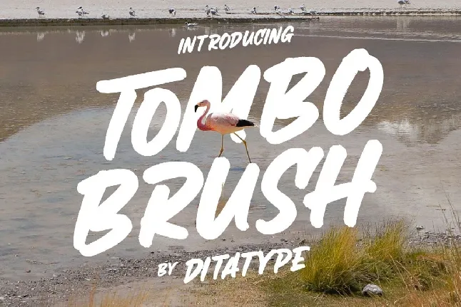 Tombo Brush font