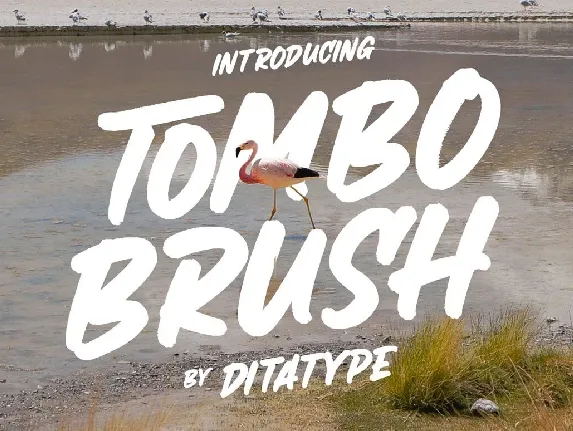 Tombo Brush font