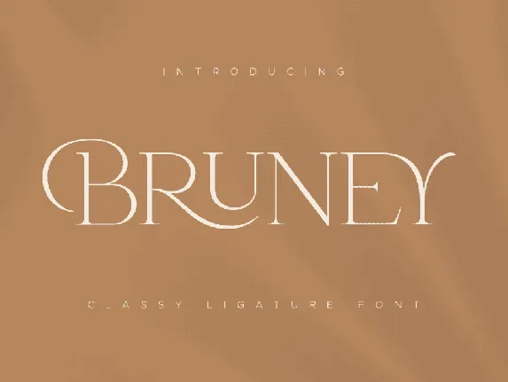 SS Bruney font